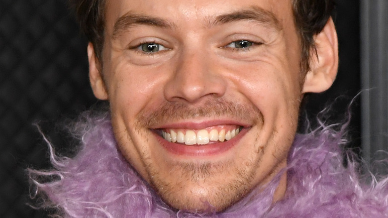 Le sourire de Harry Styles 