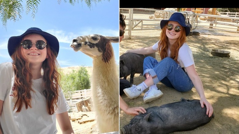 Sadie Sink et les animaux