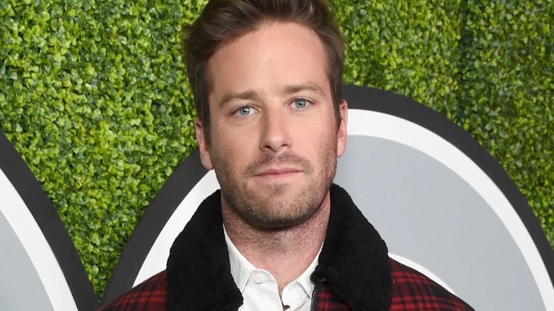 Armie Hammer posant