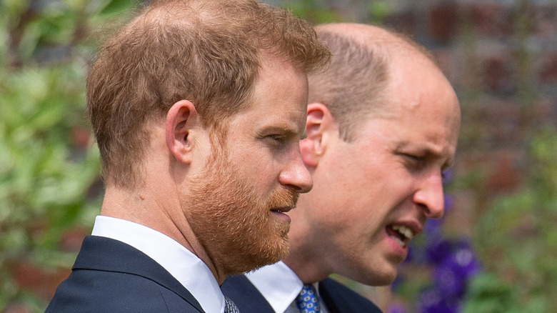 Le prince Harry et le prince William lors du dévoilement de la statue de Diana 