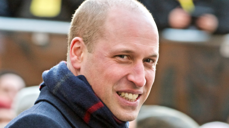 Profil latéral souriant du Prince William