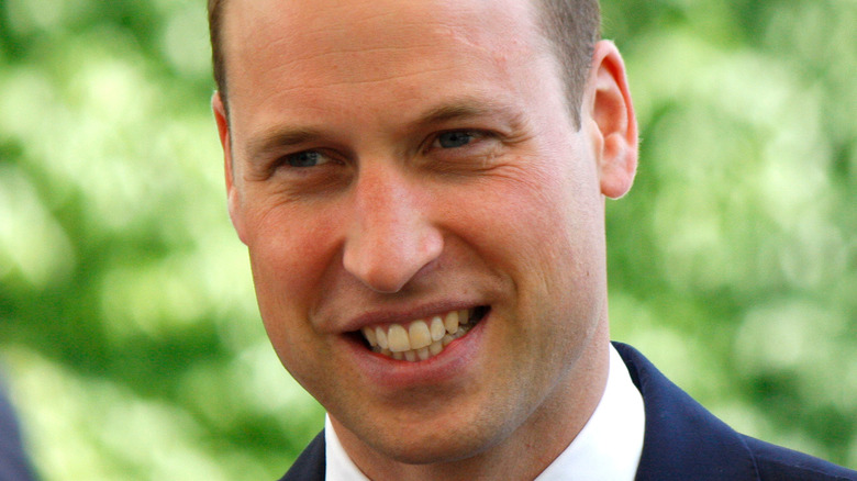 L’ami du prince William révèle ses véritables sentiments à propos de Harry et du « monde extraterrestre » dans lequel il vit