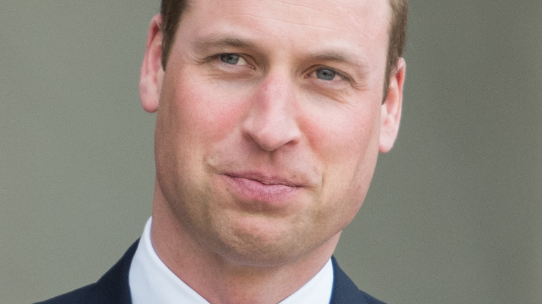 Prince William léger sourire