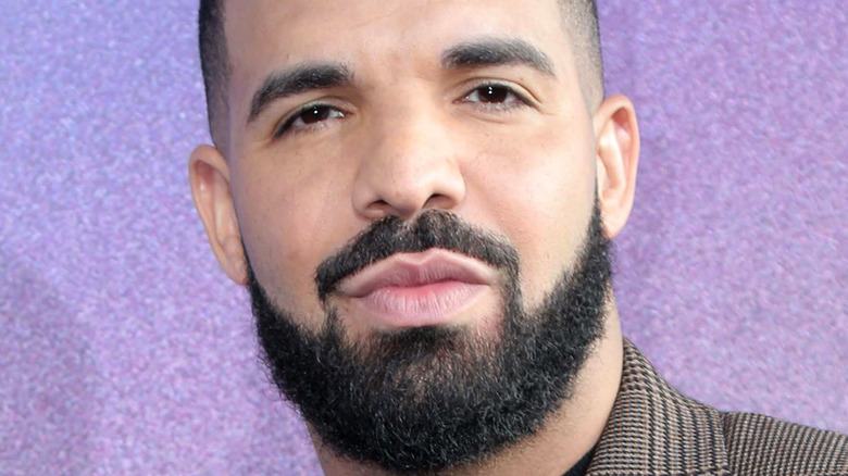 Drake posant