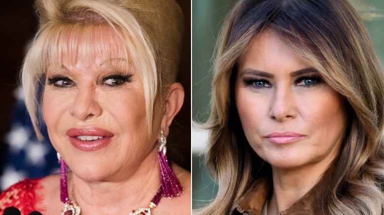 Image partagée entre Ivana et Melania Trump