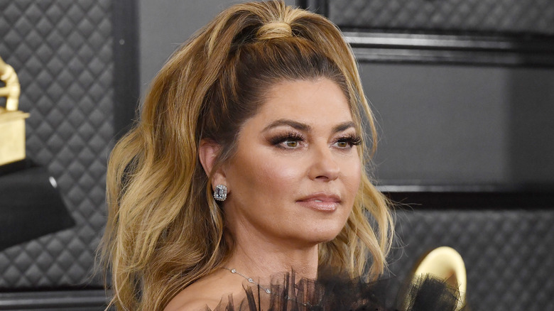 Shania Twain aux Grammys avec une queue de cheval