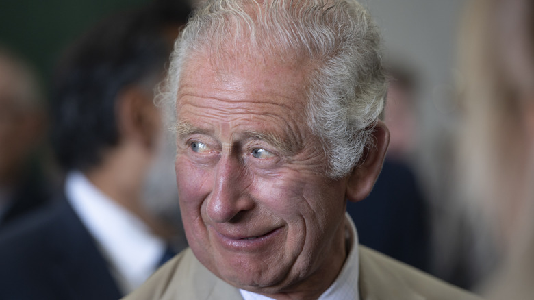 Le prince Charles regarde à droite et sourit