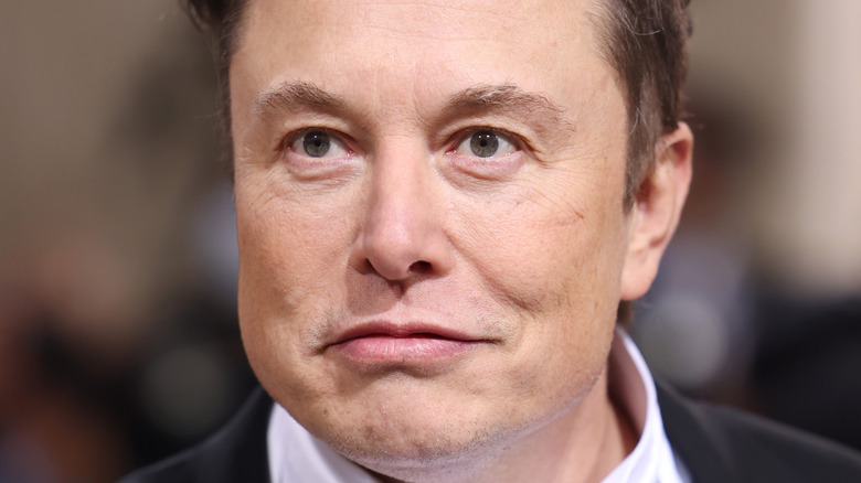 Comment la tentative d’Elon Musk de reconquérir son ex s’est totalement retournée contre lui