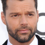 Ricky Martin fait face à une ordonnance d’interdiction de violence domestique dans une bataille juridique de plus en plus compliquée