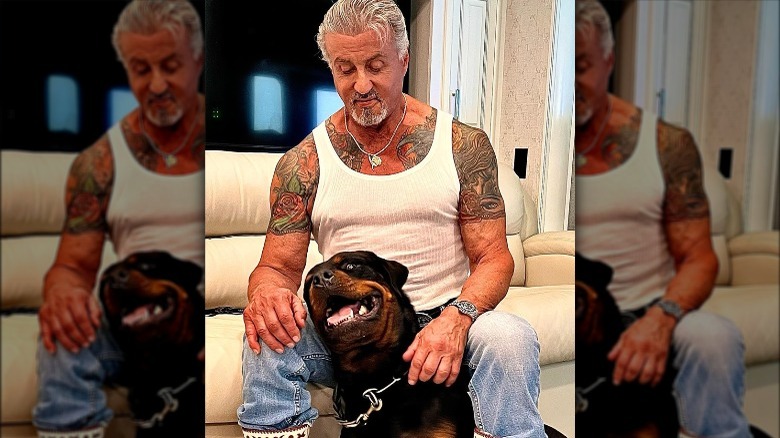 Sylvester Stallone et son nouveau chien Dwight