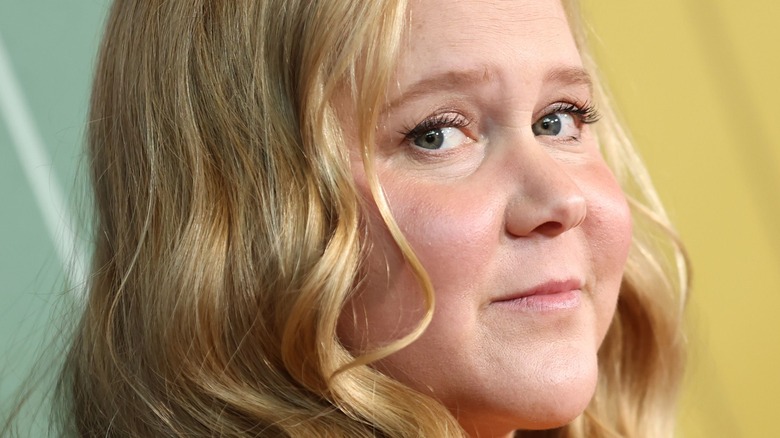 Amy Schumer clarifie l’air à propos de la spéculation sur Tom Holland Shade