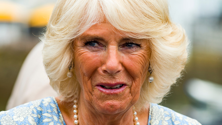 Camilla Parker Bowles souriante