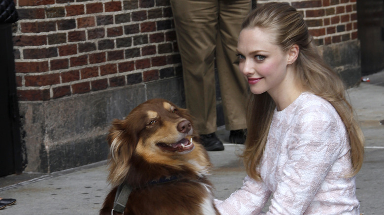 Amanda Seyfried posant avec un chien