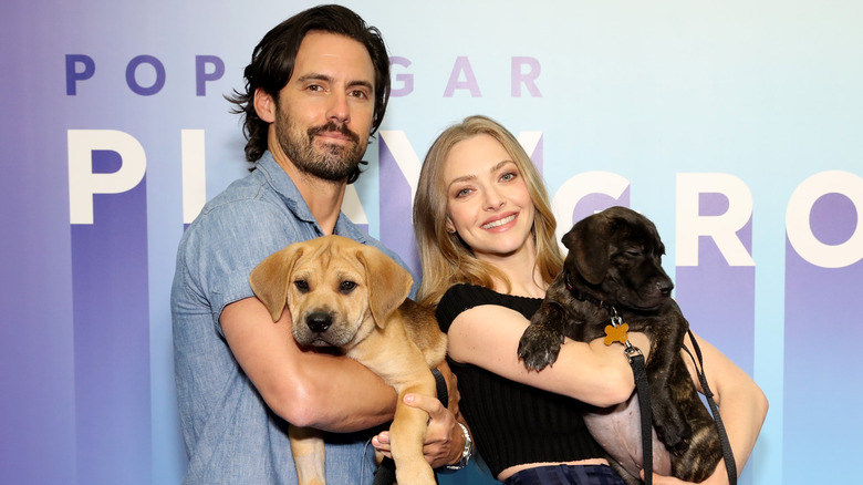 Milo Ventimigilia et Amanda Seyfried posant avec des chiens