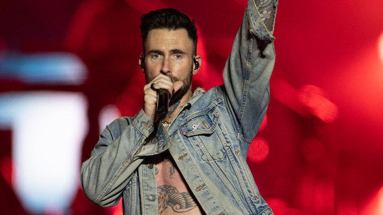 Adam Levine en spectacle