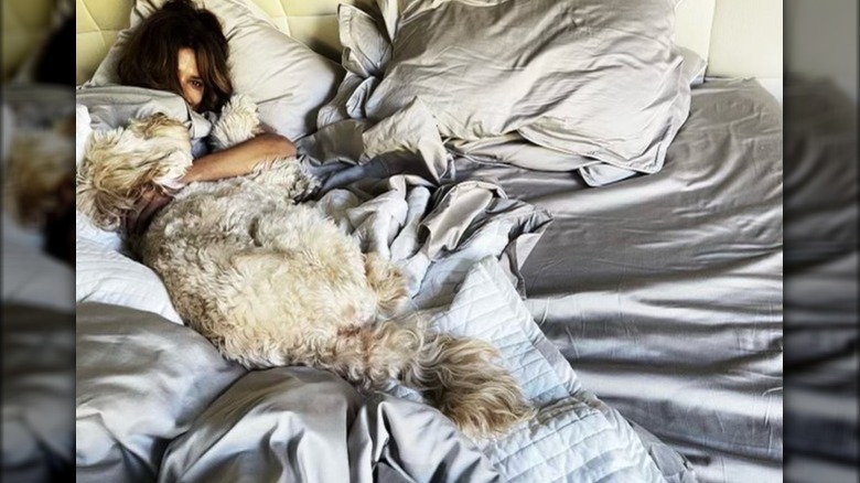 Halle Berry et son chien au lit