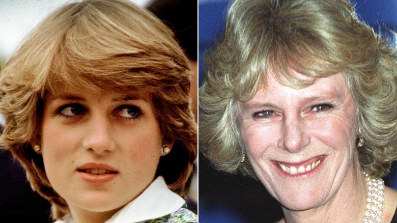 Image partagée entre la princesse Diana et Camilla Parker Bowles