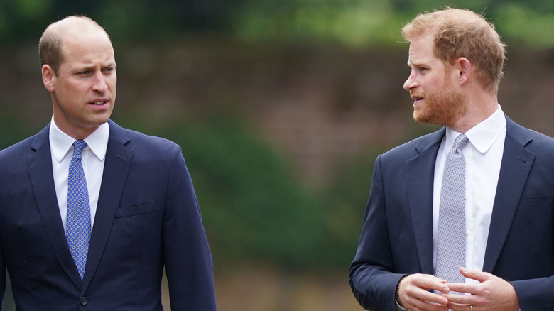 Le prince Wiliam et le prince Harry parlent