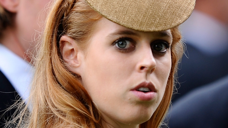 Chapeau marron Princesse Beatrice