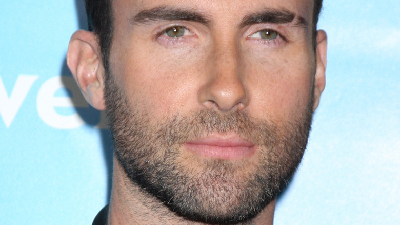 À l’intérieur de la relation compliquée d’Adam Levine avec son frère