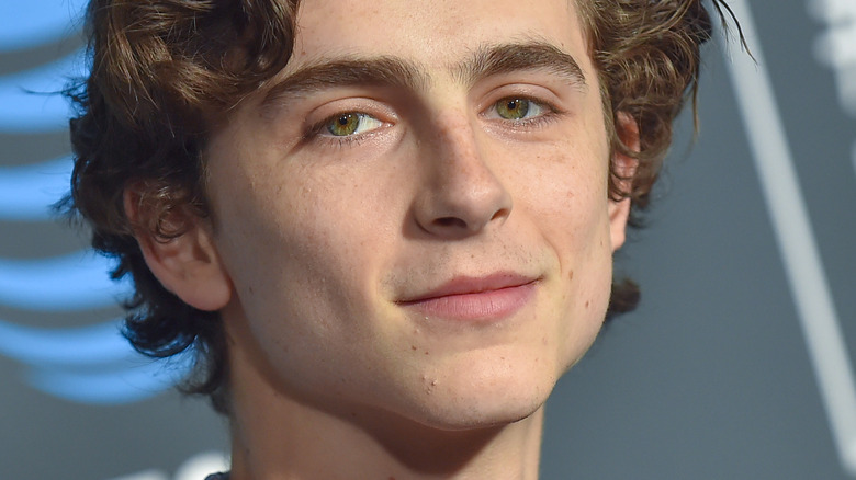 Timothée Chalamet souriant