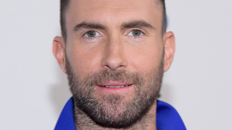 Adam Levine était dans un groupe différent avant Maroon 5