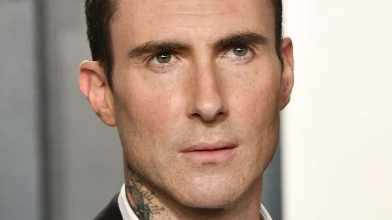 Faits en bref sur Adam Levine, sa vie et sa carrière