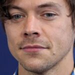 L’ancienne maison de Harry Styles à Los Angeles arrive sur le marché avec un célèbre agent immobilier