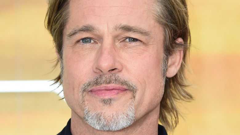 Brad Pitt avec des poils sur le visage