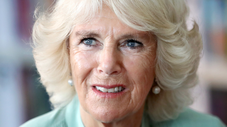 Les faits de Camilla Parker Bowles que seuls les grands observateurs royaux ont entendus