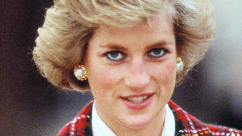 Princesse Diana souriante