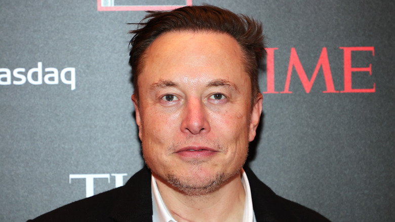 Elon Musk pose