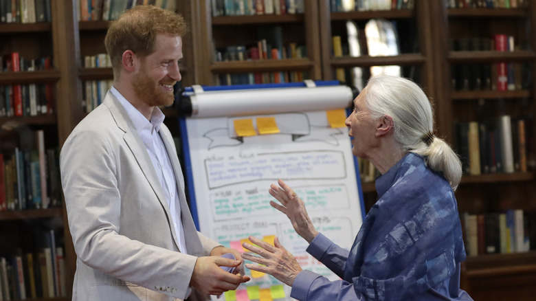 Le prince Harry et Jane Goodall parlent