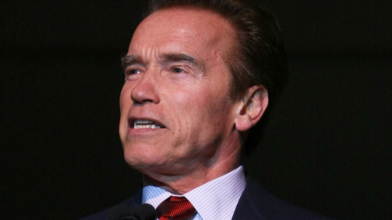 Arnold Schwartzenegger regarde de côté