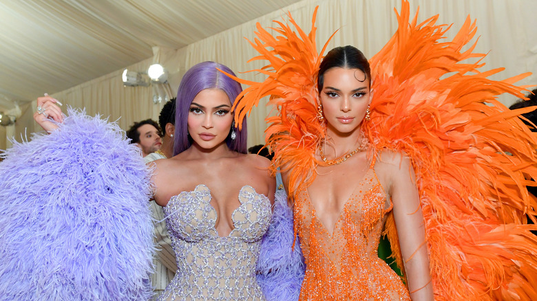 Kendall et Kylie Jenner posant en plumes