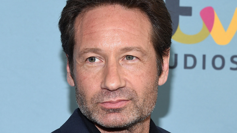 David Duchovny foule un tapis rouge