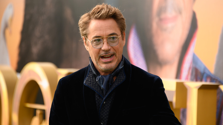 Tapis rouge de Robert Downey Jr.