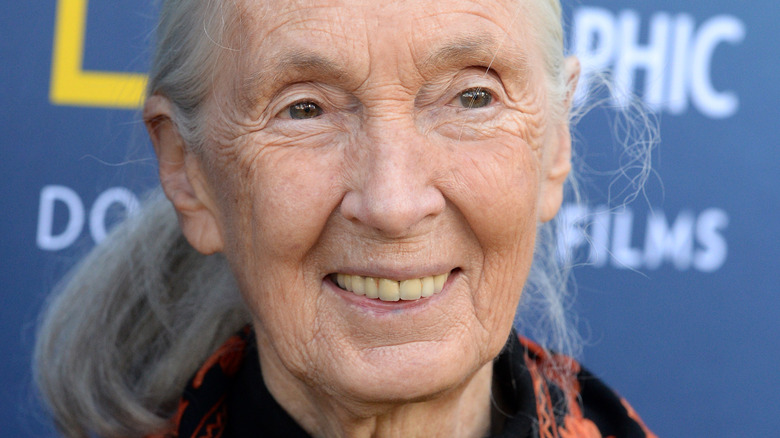 Jane Goodall souriante