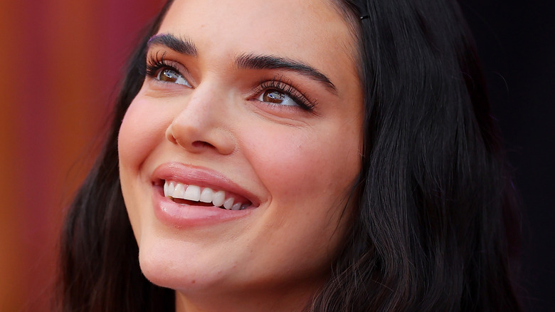 Faits amusants sur Kendall Jenner pour chaque fan