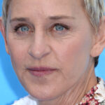 Pourquoi Ellen DeGeneres n’a pas voulu filmer une scène d’amour avec Sharon Stone