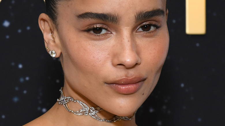 Que s’est-il passé entre Zoë Kravitz et Penn Badgley ?