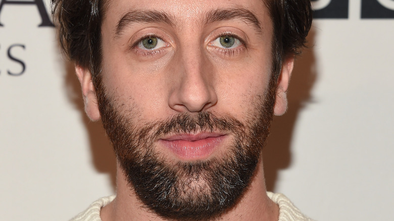 Simon Helberg a obtenu sa ceinture noire à un très jeune âge