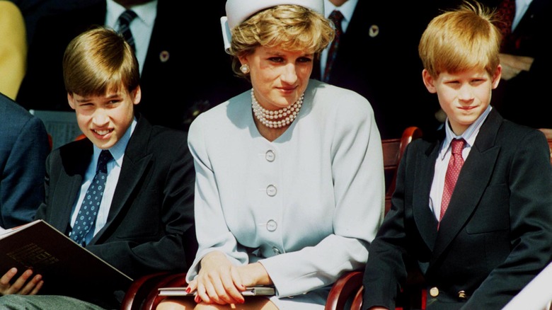 La princesse Diana et ses fils