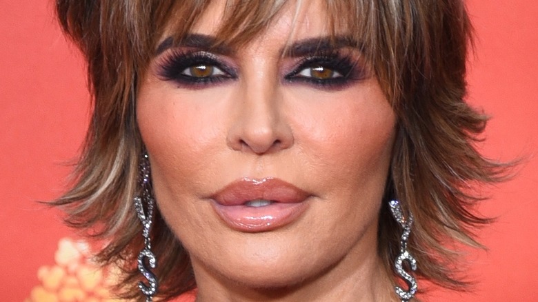 Lisa Rinna cheveux bruns plein de glam