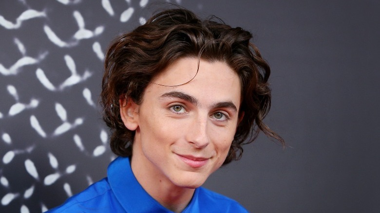 Timothée Chalamet regarde la caméra