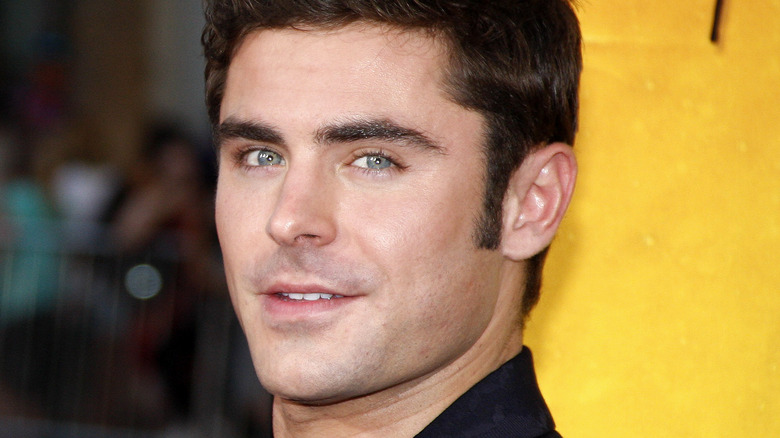 Zac Efron aux cheveux bruns