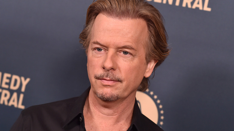 David Spade posant