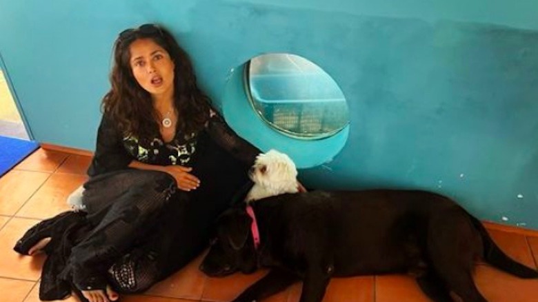 Salma Hayek et les chiens