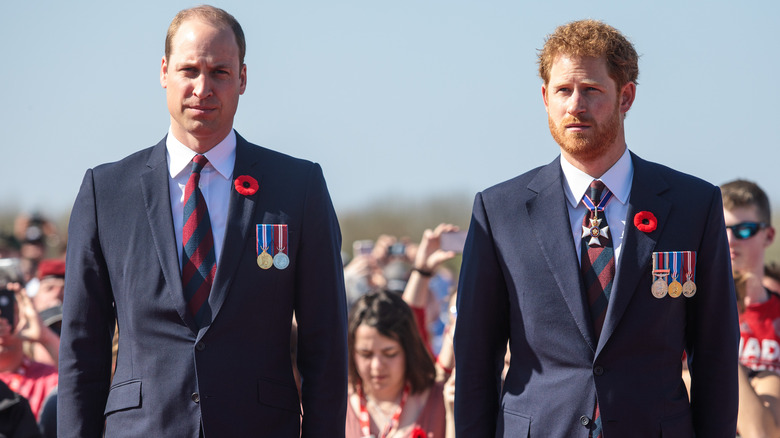 Le prince Harry et le prince William posant 