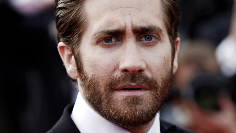 Jake Gyllenhaal regarde